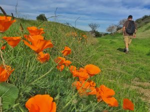 Celebrate May in East Bay Parks