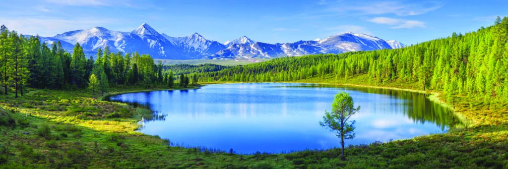 From Forest to Faucet: The Health of Headwaters Determines Tap Water ...