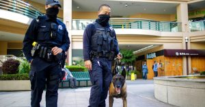 The public safety programs include new foot patrols, a vehicle enforcement unit, and a traffic division.