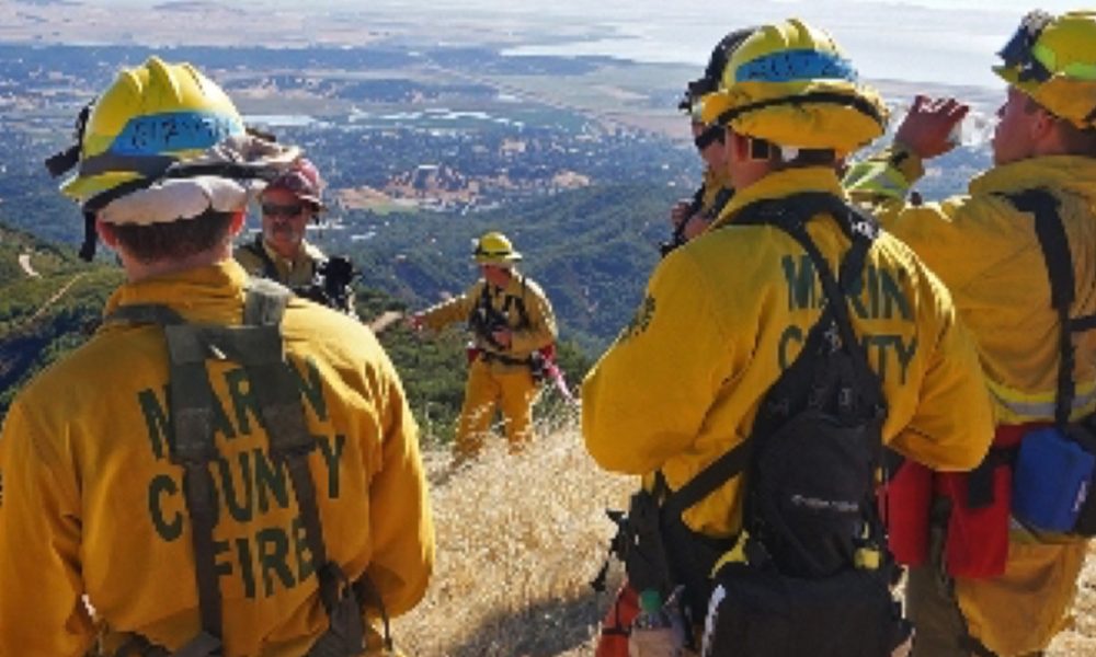 Prescribed Fire Planned Near Mt Tam Marin County Fire Gears Up For   Prescribed Fire Featured Web 1000x600 