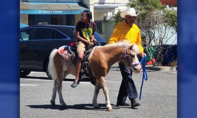 Oakland Black Cowboys Association President Wilbert McAlister leads a girl on a pony ride at the B-H Brilliant Minds Juneteenth. Photo by Daisha Williams.