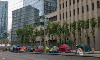 "By destroying the very items that could help people regain stability, the city is not just punishing people for being poor, but actively making it harder for them to escape homelessness," Jennifer Friedenbach, executive director of the Coalition on Homelessness, said.