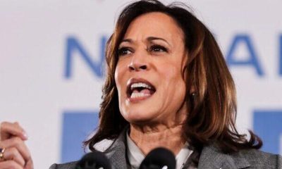 U.S. Vice President Kamala Harris said the loans would be in amounts up to $20,000. Official photo.