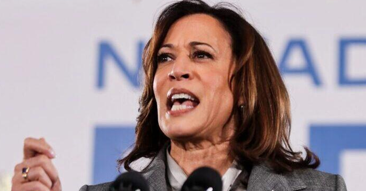 U.S. Vice President Kamala Harris said the loans would be in amounts up to $20,000. Official photo.