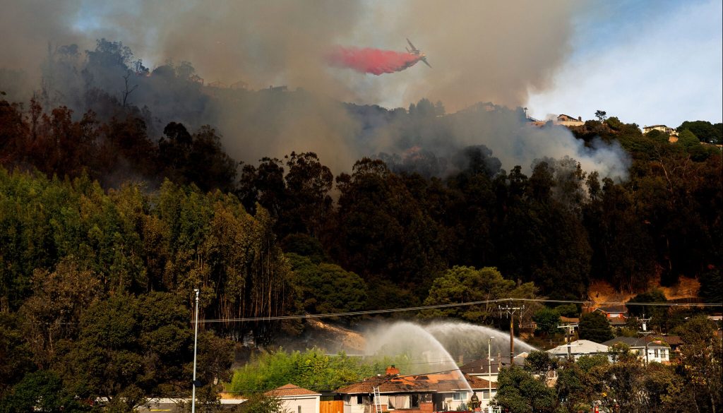 Firefighters work to contain a grass fire that broke out in the Oakland Hills on Oct. 18, 2024. Noah Berger/AP via UC Berkeley News.