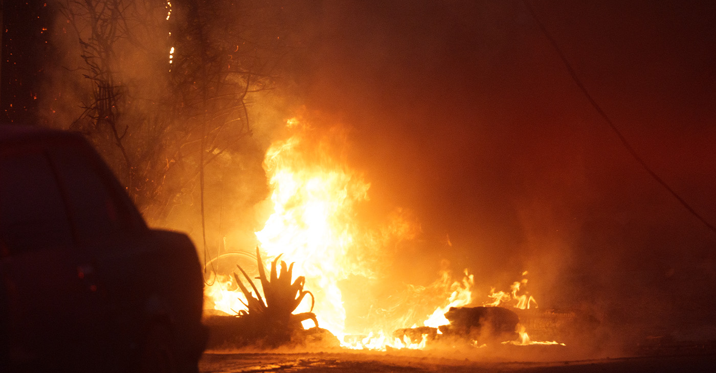 Trees and bushes in or near yards were typically the first to catch fire before the blazes spread to homes. Altadena, Calif. Jan. 8, 2025. Photo by Solomon O. Smith