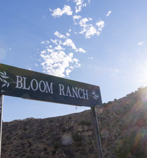 Dr. Bill Releford owns Bloom Ranch in Acton, a 250-acre farm in Acton. Releford, a podiatrist based in Los Angeles started the 250-acre Bloom Ranch — he largest Black-owned ranch in Los Angeles County — in 2023. The ranch provides access to nutritional fruits and vegetables, a part of Releford’s strategy for focusing on wellness and preventive care.